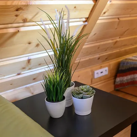 Apartamento Visitzakopane - Forest *
